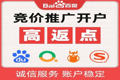 SEM竞价推广案例：打造行业领先的广告投放策略